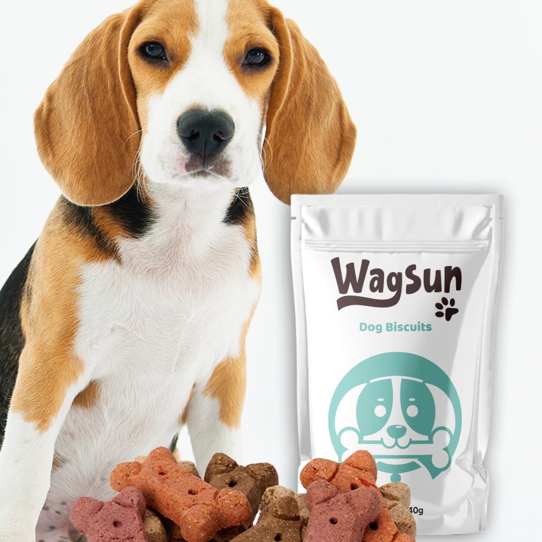 Wagsun Dog Biscuit1