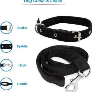 Buy Leather Dog Leash Online In India -  India