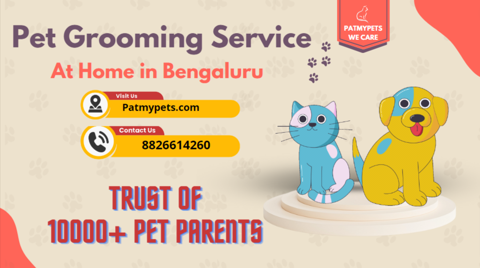 Pet grooming in Bangalore